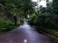 -长春市南湖公园