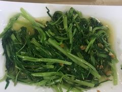 -肥信潮菜(科新路店)