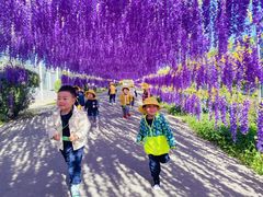 -贝乐多幼儿园(中北校区)