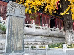 景点-宝通禅寺