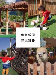 -萌宠亲子动物乐园(槐房万达店)