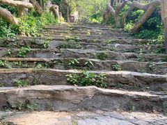 -木兰云雾山