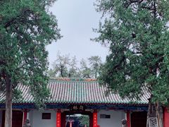 -关林