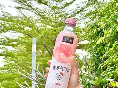 -深圳湾公园(南山区)