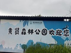 -黄贤森林公园