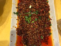 -胖大姐黄辣丁鱼庄(新津店)