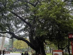 -广州中山纪念堂