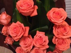 -重庆乌鱼庄·龙滋鲜(青羊大道店)