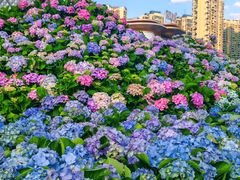 -首开·龙湖成都西宸天街