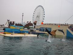 -秦皇岛乐岛海洋王国