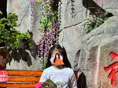 -泉城欧乐堡海洋极地世界