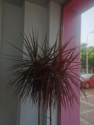 -A HAIR SALON 