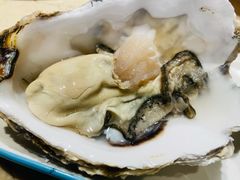 生吃生蚝-金太阳海鲜烧烤·本地人餐厅(星海公园店)