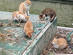 -荔湾湖公园
