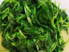 清炒鸡毛菜-玉华台饭庄·淮扬菜·烤鸭(望京店)