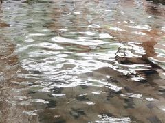 -碧水湾温泉