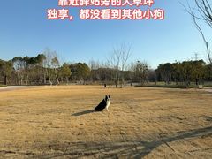 -上海山野camping·户外天幕烧烤·团建拓展营地