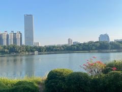 -南宁南湖公园