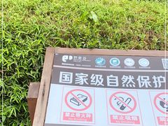 -野象谷景区