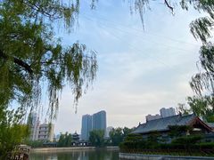 -迎泽公园
