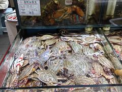 -九层海鲜塔(市南店)