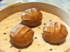 -唐猫庭院·千年陕菜(大唐不夜城店)