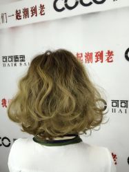 -可可丽舍