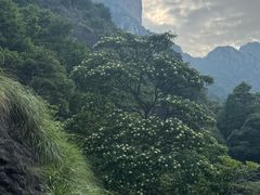 -雁荡山风景名胜区