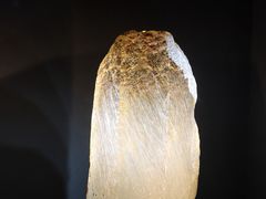 -杭州工艺美术博物馆