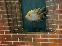 -永安鱼庄·镇江菜(东吴路店)