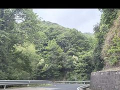 -四明山国家森林公园