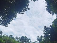 -海口火山口国家地质公园