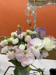 -美肤盾祛痘·问题肌头疗管理中心