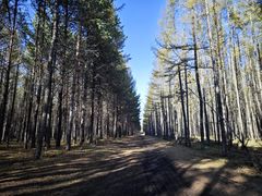 -塞罕坝国家级自然保护区