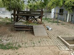 -合肥野生动物园