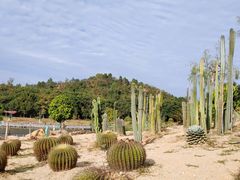 -东莞植物园