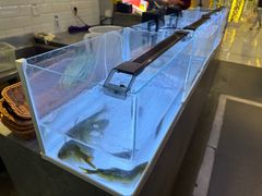 -巴邑火锅·鲜切牛肉(萧山银隆店)