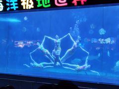 -蓬莱欧乐堡海洋极地世界