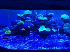 -上和臻品中国菜(花园街店)