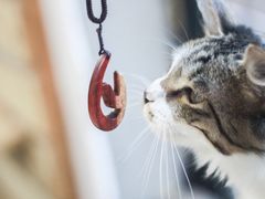 -五月木作·DIY木作文创体验店(北京路店)