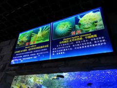 -左海海底世界