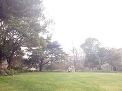 瑞金外面的草坪-上海瑞金洲际酒店