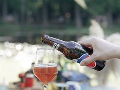 -上海共青森林公园