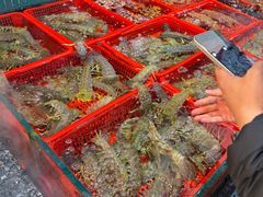 -肥弟大排档(汕樟路店)