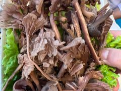 -爱膳菌锅锅(阳南店)