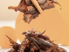 -郴州特产舜华临武鸭(郴州西站店)