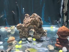 -苏州海洋馆