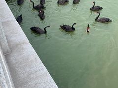 -天津东丽湖风景区