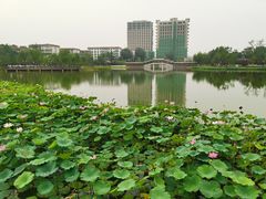 -西海子公园
