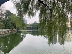 -月湖公园